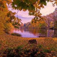 Осень в парке :: Дмитрий Рутковский