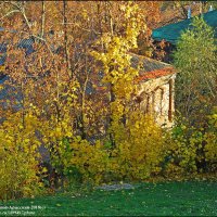 ВЛАДИМИР ПРОВИНЦИАЛЬНЫЙ :: Валерий Викторович РОГАНОВ-АРЫССКИЙ