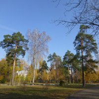 Парк имени Урицкого в октябре 2018 :: Наиля 