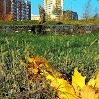 Бродит старушка осень по аллеям парка, наблюдая за нами. :: Татьяна Помогалова