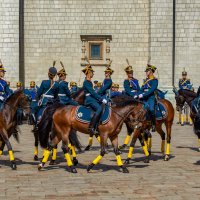 Церемония развода караулов президенского полка :: Николай Николенко