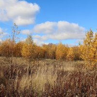 осень :: Владимир Холодницкий