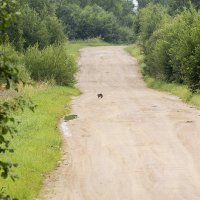 С кошкой :: Александр 