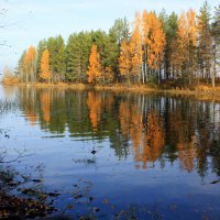 ОКТЯБРЬ В КАРЕЛИИ :: Николай Гренков