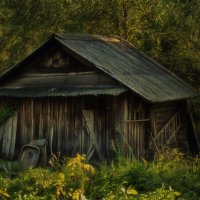 Осенние зарисовки :: Татьяна Смирнова