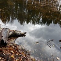 Водная серия :: Валерий Михмель 