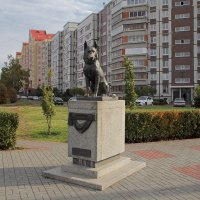Памятник Преданности. Тольятти. Самарская область :: MILAV V