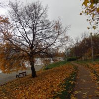 Осень не первоначальная :: Андрей Лукьянов