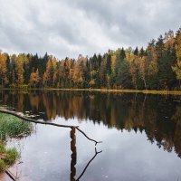 Глухое озеро :: Анастасия Володина