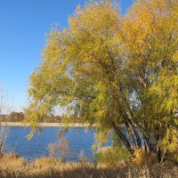 Балаково, Саратовская область :: Елена Шаламова