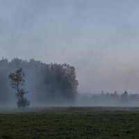 туманное утро в Павловске :: Елена Маковоз