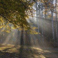 Солнышко лучистое, улыбнулось весело... :: Вячеслав Криволуцкий