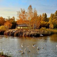 Осенний день в парке :: Mikhail Irtyshskiy