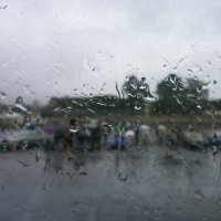PRO дождь ... :: Алёна Савина