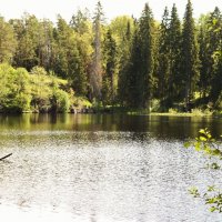 Озеро :: sav-al-v Савченко