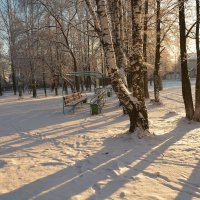 вот и первый снежок :: леонид логинов