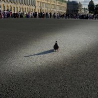 В центре внимания :: Майя Жинкина