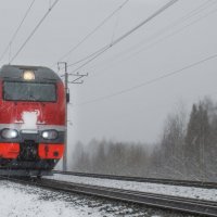 Метелюшка :: Роман Пацкевич