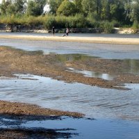 Река Десна обмелела и меняет русло :: Александр Скамо