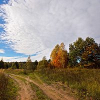 Осенний пейзаж. :: Елена Струкова