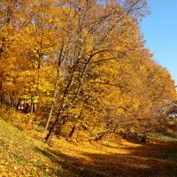 Осенние мотивы. :: Владимир Драгунский