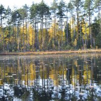 Осень на озере :: Григорий Вагун*