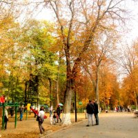 Октябрь в парке Октября :: Нина Бутко
