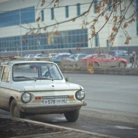 Жив, курилка! :: Михаил Полыгалов