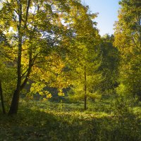 осень :: Петр Беляков