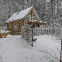 Первый снег. :: Юрий Борзов