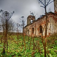 Дом поэтов А.Ахматовой и Н.Гумилёва в деревне .Градницы Бежецкого р-на Тверской губернии :: Юрий Яньков