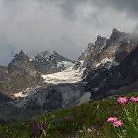 Альпийские луга Кавказа :: Хасан Журтов