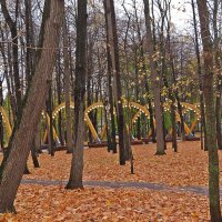 "Осень  ! Осень ! Лес  остыл и  листья  сбросил....!" :: Виталий Селиванов 