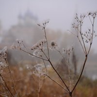 Утро туманное в Дунилово :: Валерий Толмачев