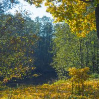 Прогулка по осеннему городу (87) :: Виталий 