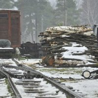 Дрова :: Дмитрий Близнюченко