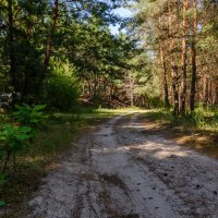 В теплый осенний денек. :: Владимир M