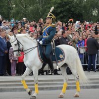 Настоящий полковник :: Вячеслав Маслов