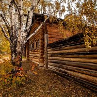 Осень тихонько ступает... :: Александр | Матвей БЕЛЫЙ