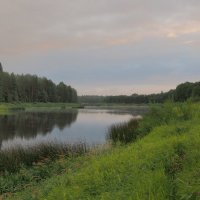 Берега реки Молога :: Евгений Седов