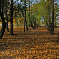 Кронштадт. Петровский парк :: максим лыков