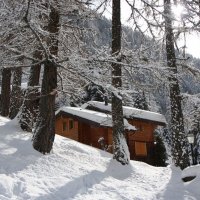 В Альпах, после снегопада :: ZNatasha -