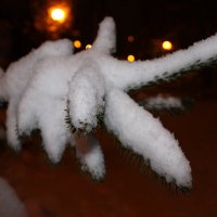 снег :: tina kulikowa