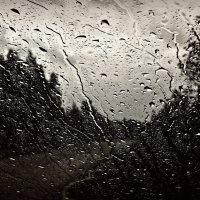 Дождь :: Михаил Цегалко