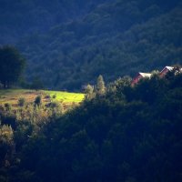 В Карпатах :: Роман Савоцкий