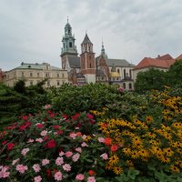 Сентябрьский Вавель :: Зинаида П. 