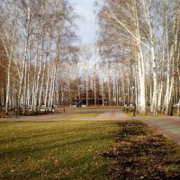 В осеннем парке городском. :: Венера Чуйкова