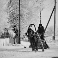 Деревенский транспорт :: Светлана Рябова-Шатунова