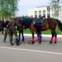 советуются ,что делать :: Владимир 