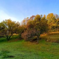 осенью под оврагом :: Дмитрий фотограф